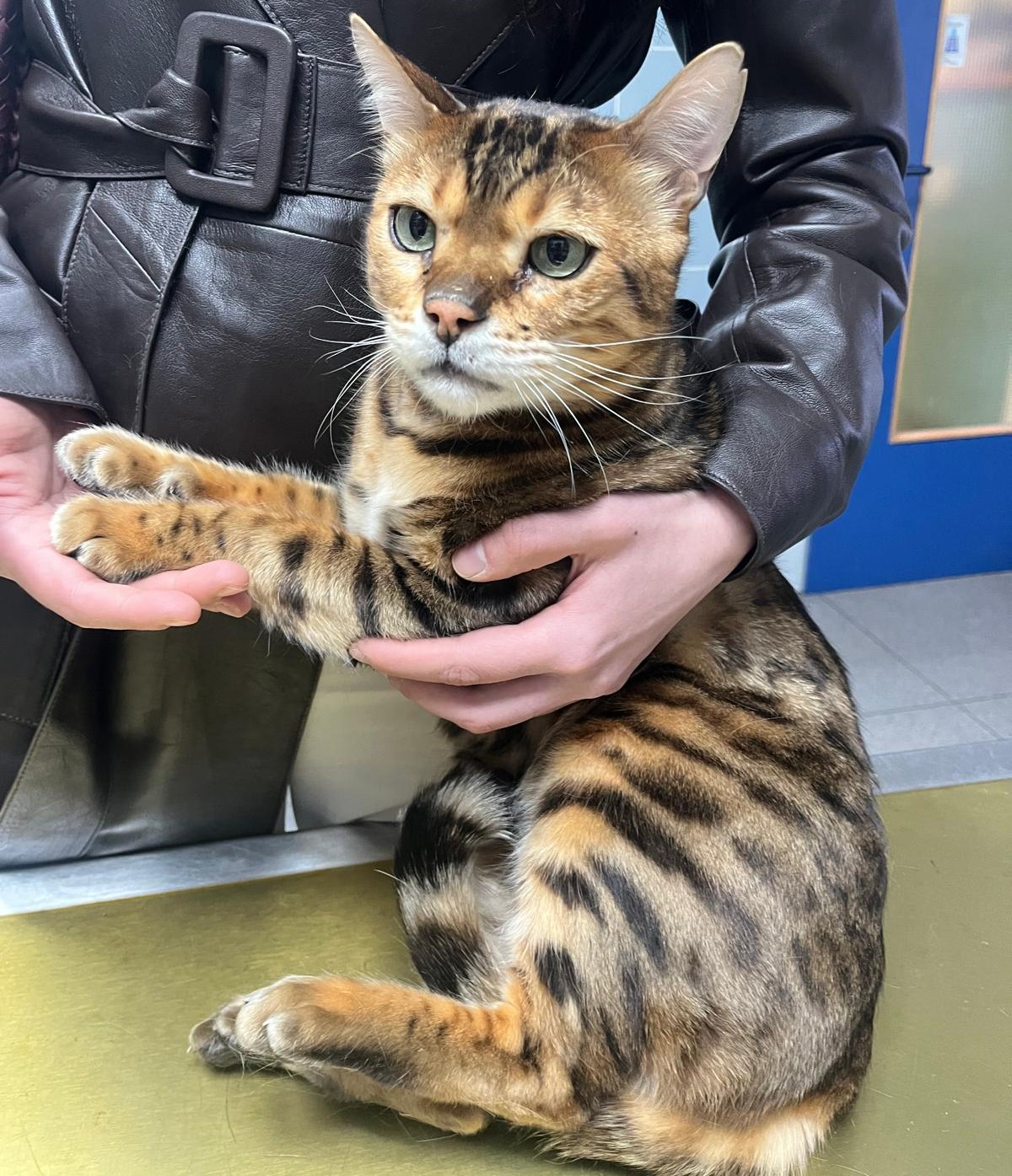 Präventivmedizin Tierarzt Paderborn